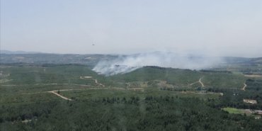 İzmir'de çıkan orman yangınına müdahale ediliyor