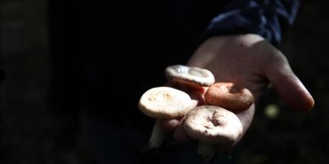 corumda-13-kisi-mantar-zehirlenmesi-suphesiyle-hastaneye-kaldirildi