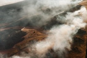 gaziantepte-tarim-arazisinde-cikan-yangin-kontrol-altina-alindi