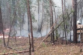 kazakistanda-orman-yanginiyla-mucadele-7-gun