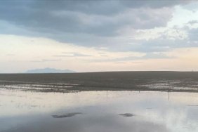 konyada-saganak-nedeniyle-tarim-arazilerini-su-basti