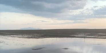 konyada-saganak-nedeniyle-tarim-arazilerini-su-basti