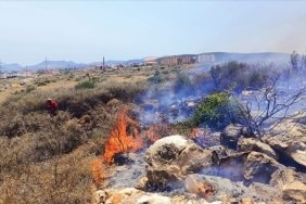 Mersin'de makilik alanda çıkan yangın söndürüldü