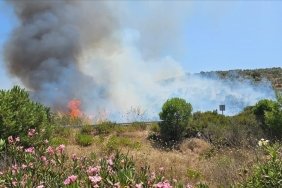 Milas-Bodrum Havalimanı yolunda ormanlık alanda çıkan yangına müdahale ediliyor