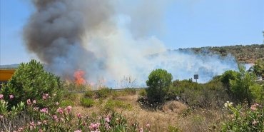 Milas-Bodrum Havalimanı yolunda ormanlık alanda çıkan yangına müdahale ediliyor