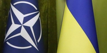 almanya-ukraynanin-nato-uyeligi-icin-dogru-zaman-olmadigini-dusunuyor