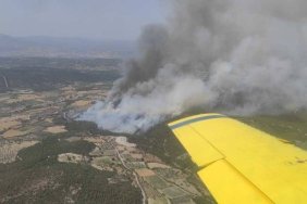 izmirde-orman-yangini-
