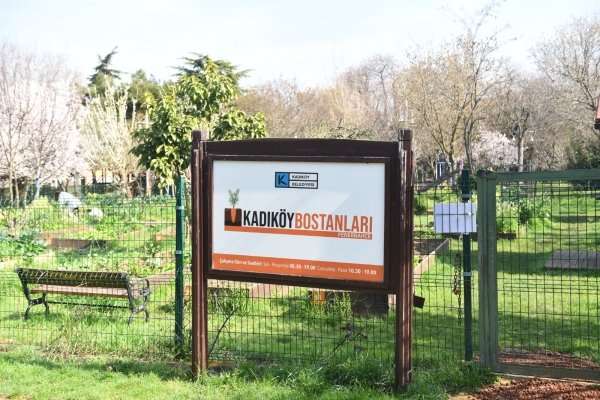 kadikoy-bostanlarinda-hasat-zamani