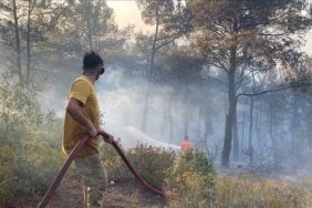 orman-yanginlarina-neden-olduklari-gerekcesiyle-7-supheli-gozaltina-alindi