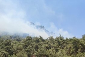 Bilecik'te çıkan orman yangınına müdahale ediliyor