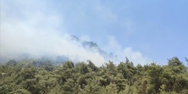 Bilecik'te çıkan orman yangınına müdahale ediliyor