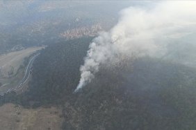 Eskişehir'deki orman yangınına havadan müdahale yeniden başladı