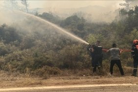Yunanistan'da orman yangınında bir kişi hayatını kaybetti