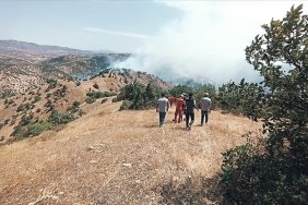 bingolde-ormanlik-alanda-cikan-yangina-mudahale-suruyor
