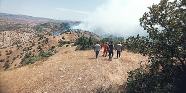 bingolde-ormanlik-alanda-cikan-yangina-mudahale-suruyor