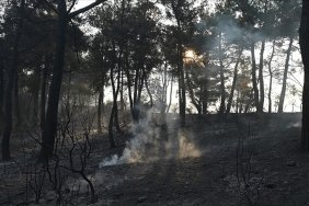 canakkaledeki-orman-yangini-kontrol-altina-alindi