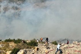 diyarbakirda-cikan-orman-yanginina-karadan-ve-havadan-mudahale-ediliyor