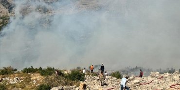 diyarbakirda-cikan-orman-yanginina-karadan-ve-havadan-mudahale-ediliyor
