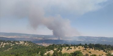 eskisehirde-ormanlik-alanda-cikan-yangina-mudahale-ediliyor