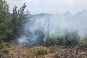 canakkalede-yildirim-dusmesi-sonucu-6-noktada-orman-yangini-cikti