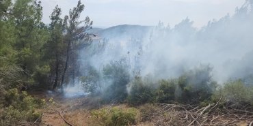 canakkalede-yildirim-dusmesi-sonucu-6-noktada-orman-yangini-cikti