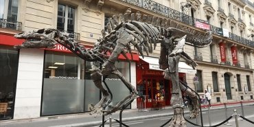 fransada-150-milyon-yillik-dinozor-iskeleti-acik-artirmayla-satilacak