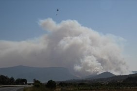 izmirin-menderes-ilcesinde-orman-yangini-cikti