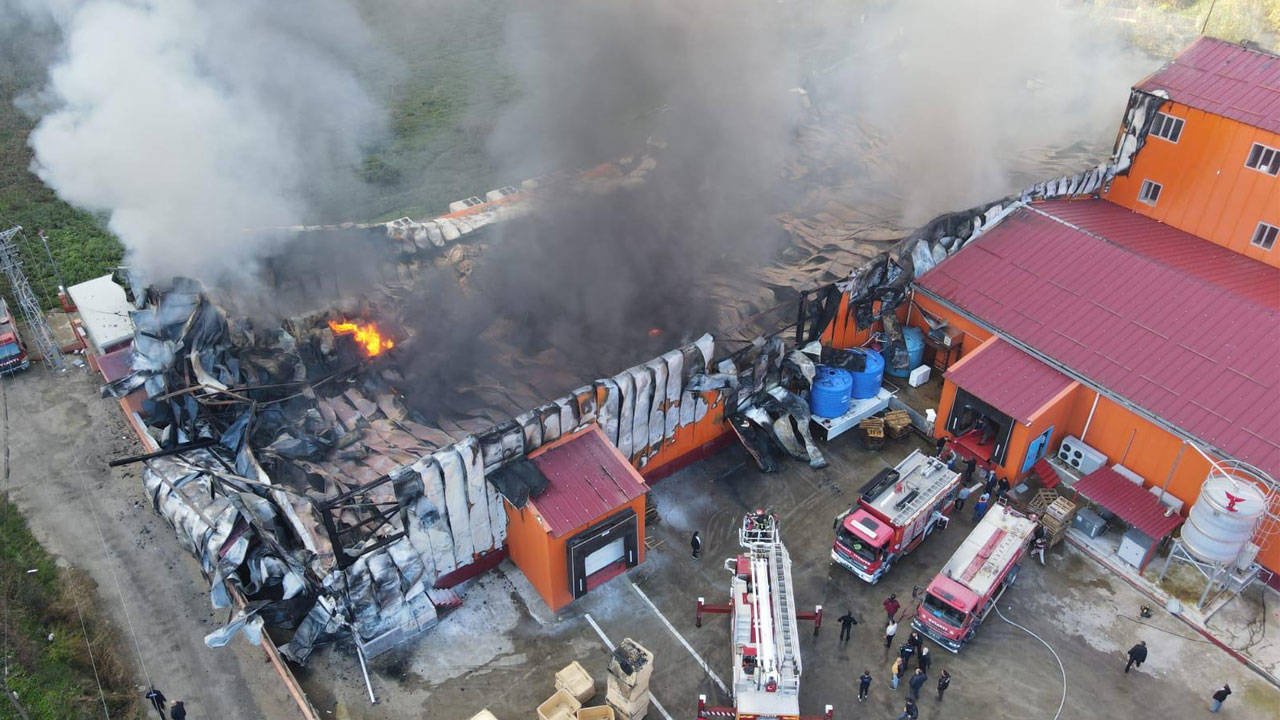 giresun-eynesil-ilcesinde-balik-isleme-fabrikasinin-soguk-hava-deposunda-yangin