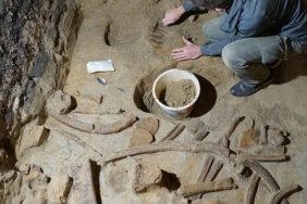 avusturyada-tas-devri-mamut-kalintilari-kesfi-KKSaAgZY.jpg