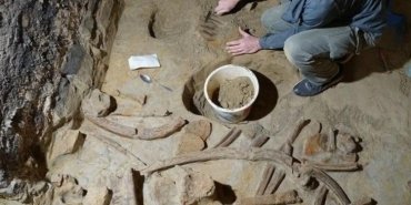 avusturyada-tas-devri-mamut-kalintilari-kesfi-KKSaAgZY.jpg