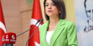 chp-genel-baskan-yardimcisi-emeklilerin-sorunlarini-gundeme-tasidi-52jZUUH7.jpg