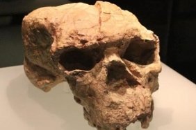 ejderha-adam-ve-yunxian-adami-homo-soyunun-gizemli-uyeleri-TxEWcs8K.jpg