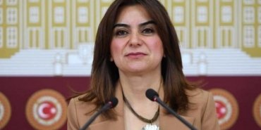 hdp-milletvekili-gulustan-kilic-kocyigitin-fiziksel-siddet-iddiasi-ve-sonuclari-efKKdvzK.jpg