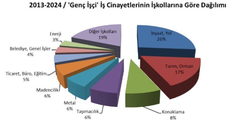 Genç İşçi İş Cinayetlerinin Nedenlerine Göre Dağılım