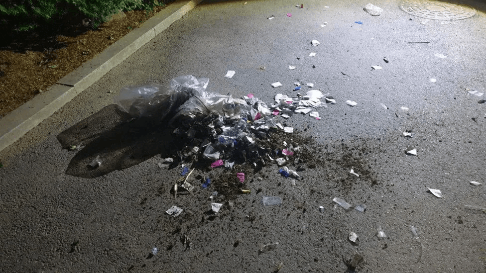 Provokatif Eylem ve Güney Kore Ordusunun Tepkisi