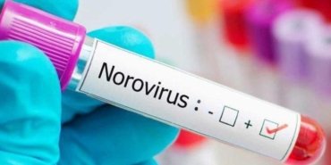 noroviruslerin-bulasma-yollari-ve-belirtileri-DL2PIanL.jpg