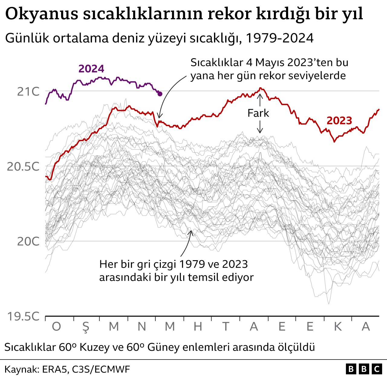 Mercan Resiflerindeki Ağarma