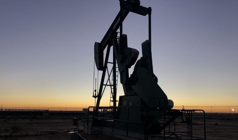 İlginç Bir Keşif: Saçların Petrolü Emme Yeteneği