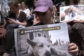 tbmm-onunde-hayvan-haklari-savunuculari-toplandi-OZKrEadk.jpg