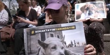tbmm-onunde-hayvan-haklari-savunuculari-toplandi-OZKrEadk.jpg