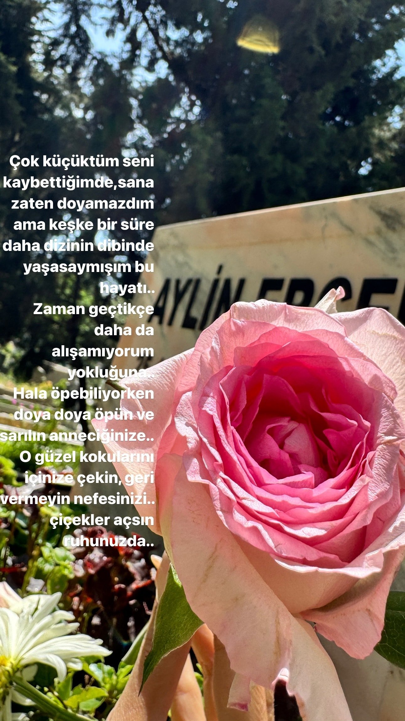 Ünlülerden Anneler Günü Mesajları