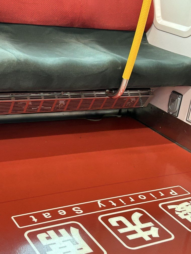 Yılan Paniği: Tokyo'da Tren Yolculuğu