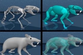 google-deepmind-ve-yapay-zeka-sanal-sican-modeli-zLy9dtfN.jpg