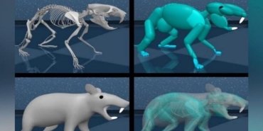 google-deepmind-ve-yapay-zeka-sanal-sican-modeli-zLy9dtfN.jpg