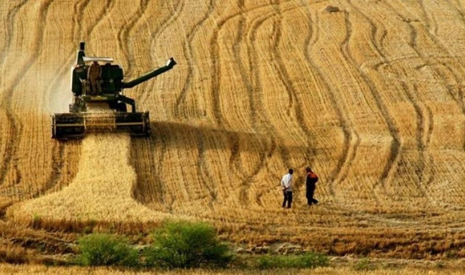 rekolte-kayiplari-ve-nedenleri-ZzgwvK5r.jpg