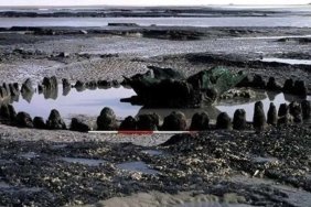 seahenge-norfolk-sahilindeki-eski-bir-gizem-48zK7MTl.jpg