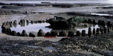 seahenge-norfolk-sahilindeki-eski-bir-gizem-48zK7MTl.jpg