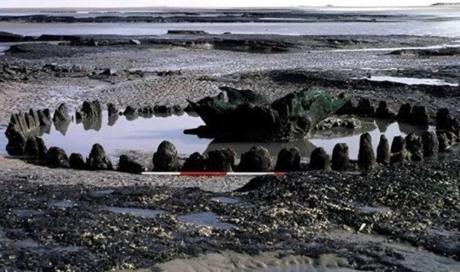 seahenge-norfolk-sahilindeki-eski-bir-gizem-48zK7MTl.jpg