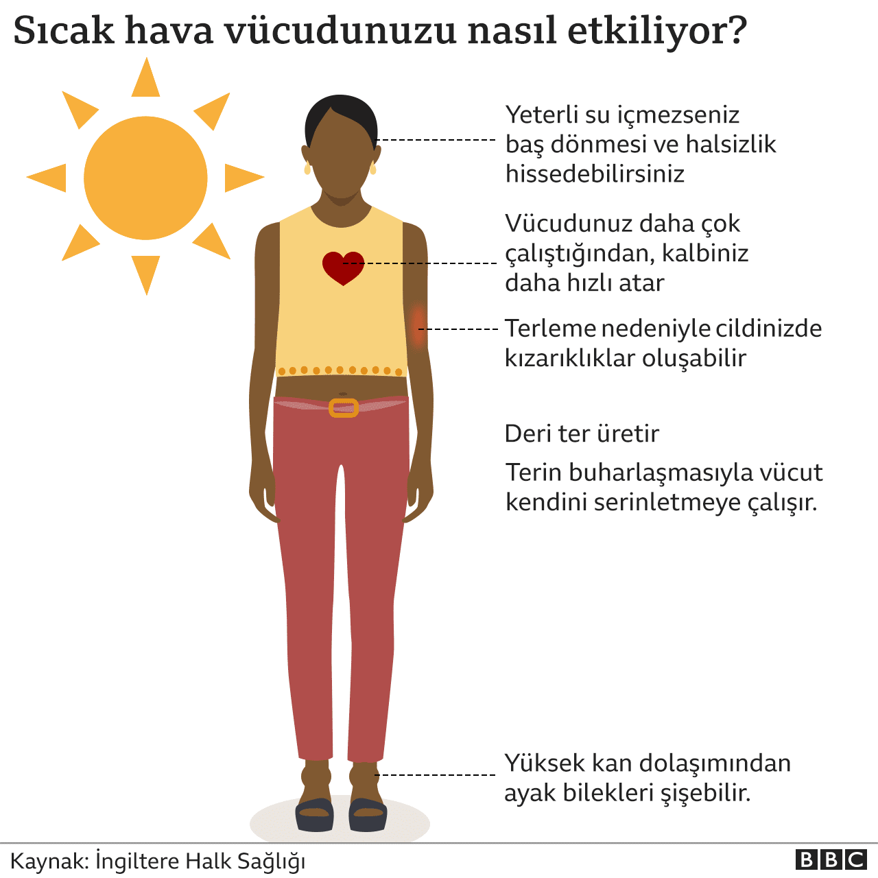 Vücut Isısının Dengesi