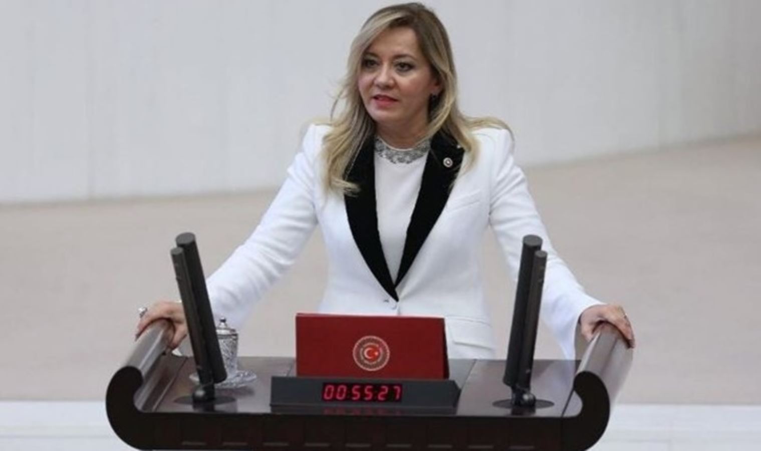 AYLİN CESUR KİMDİR?